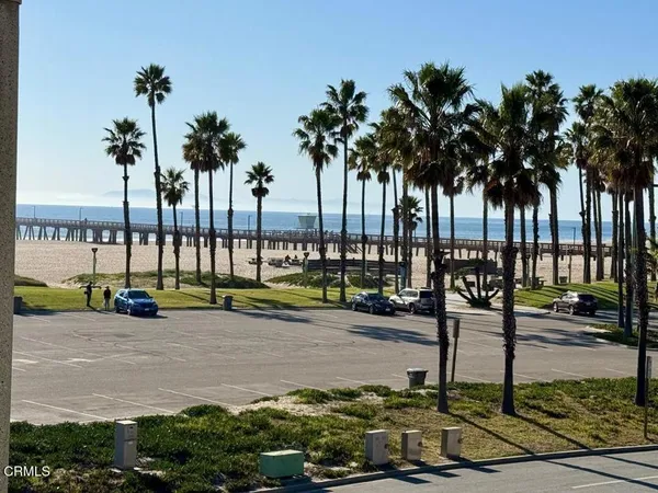 a view of a park with palm trees