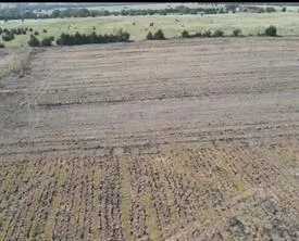 $350,000 | Lot 3 Amanda Street, Celina, TX 75009