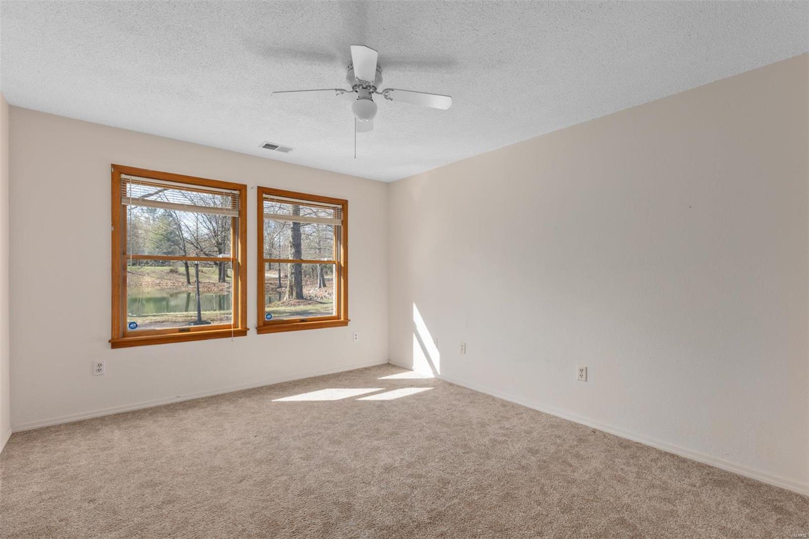 360 Hartman Road Staunton, IL 62088 - Photo 17 of 38