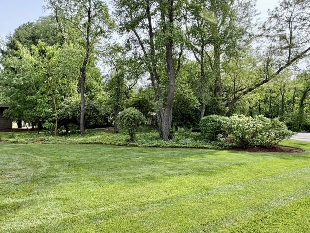 11-n071 Johnstoun Road Elgin, IL 60124 - Photo 90 of 90
