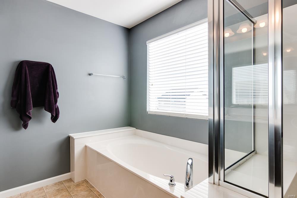 424 Spring Trace O'Fallon, MO 63368 - Photo 17 of 29