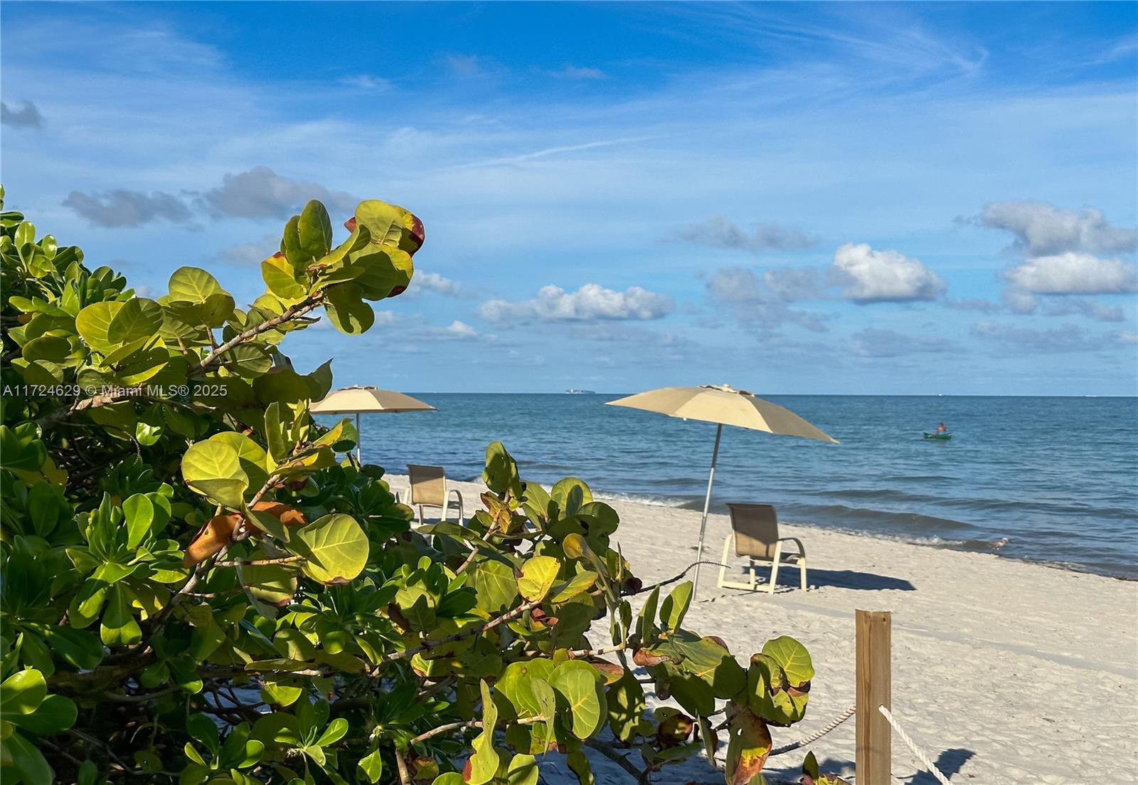 1121 Crandon Boulevard, Unit E808 Key Biscayne, FL 33149 - Photo 24 of 36 Beach Area