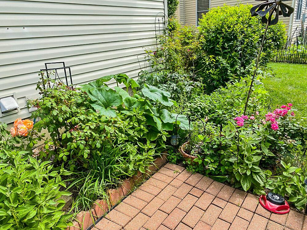349 Holly Grove Road Lewis Center, OH 43035 - Photo 25 of 25 Gallery Image 25