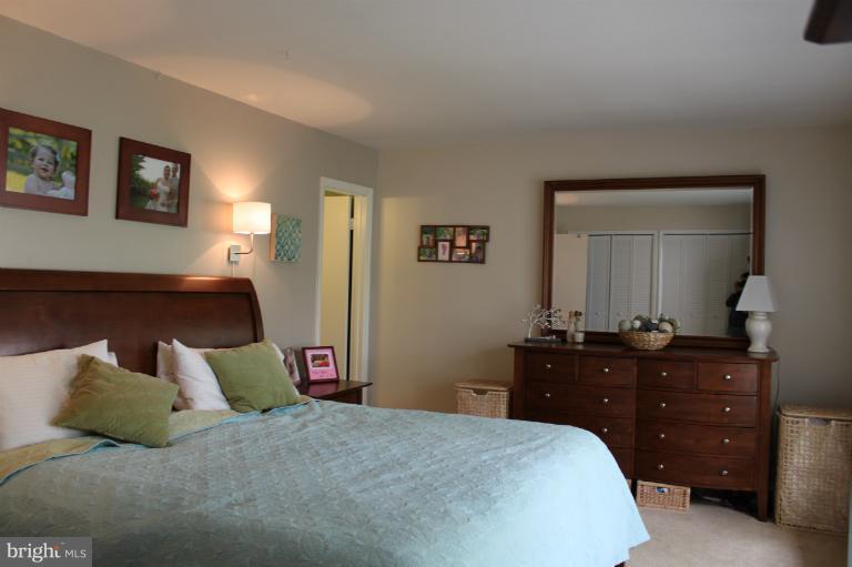 2035 Swans Neck Way Reston, VA 20191 - Photo 5 of 11 Large Master Bedroom-View 1