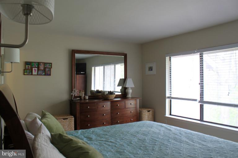 2035 Swans Neck Way Reston, VA 20191 - Photo 10 of 11 Master Bedroom-View 2-Wooded View