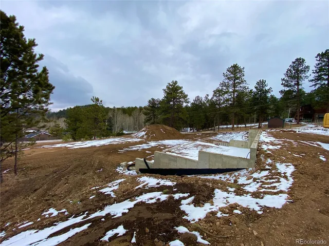 $750,000 | 174 Chickadee Lane, Bailey, CO 80421