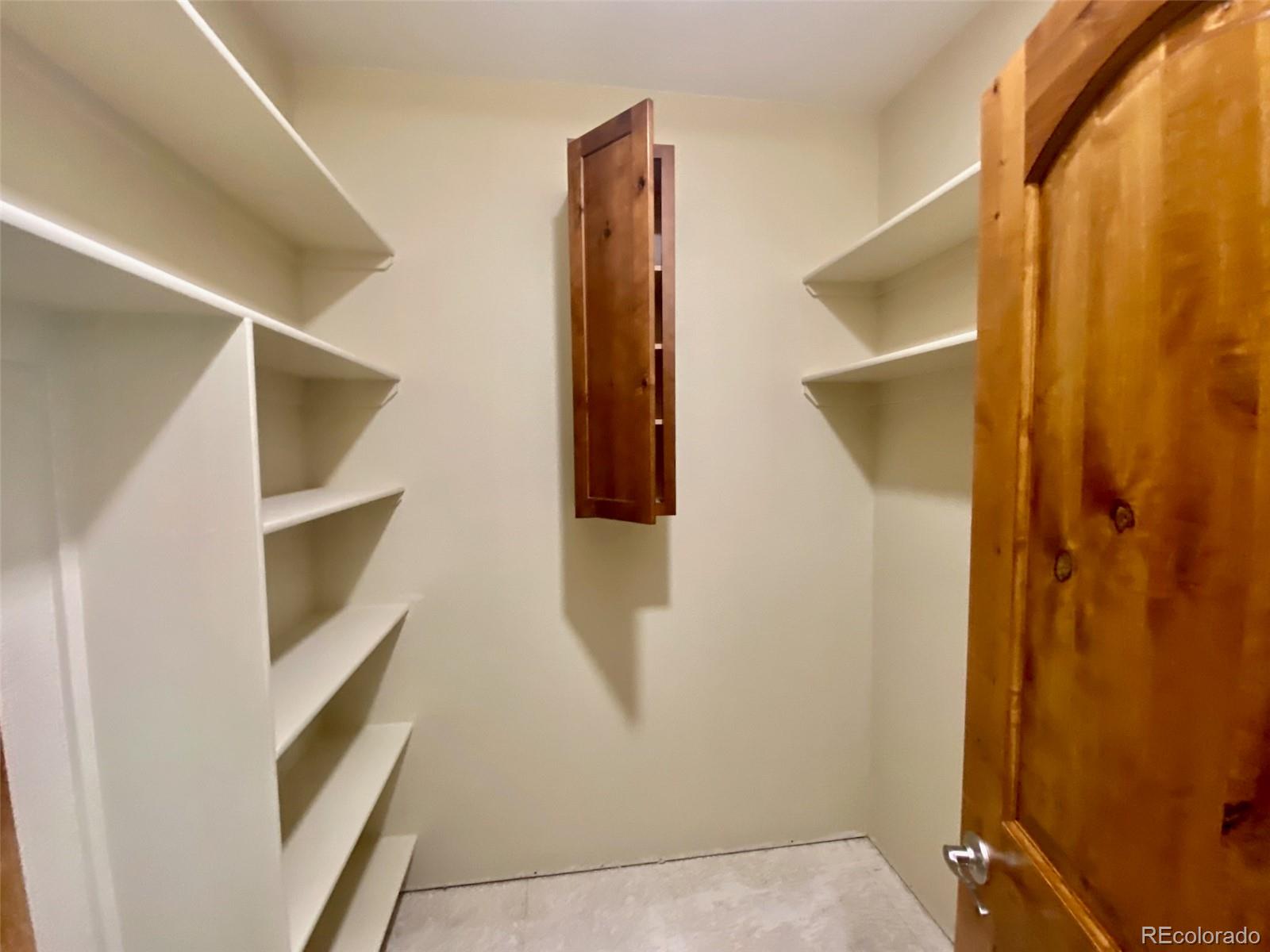 174 Chickadee Lane Bailey, CO 80421 - Photo 23 of 39 a view of walk in closet