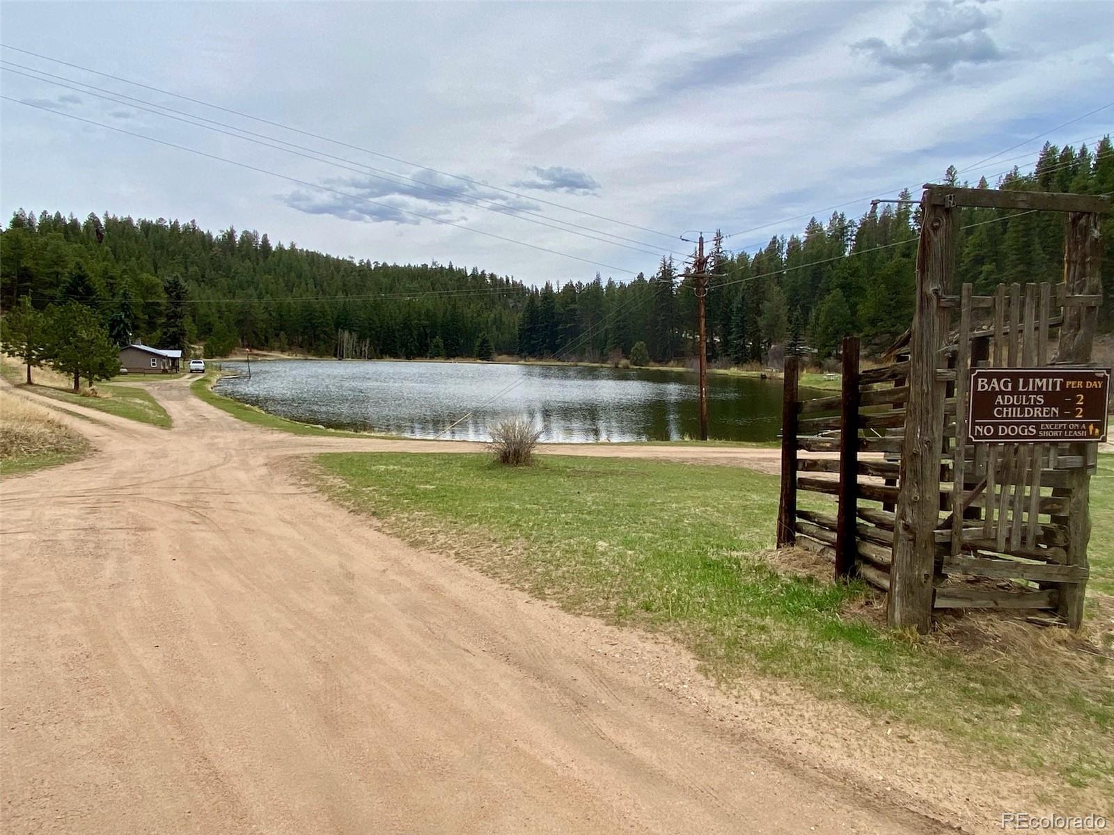 174 Chickadee Lane Bailey, CO 80421 - Photo 34 of 39 a view of a lake with a yard and large trees