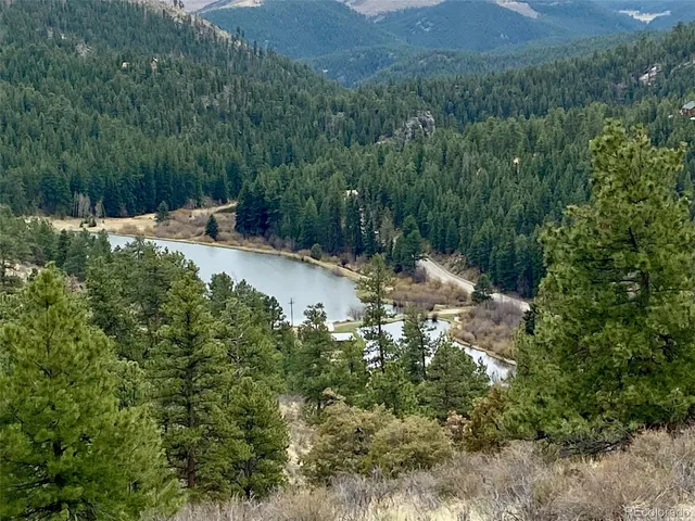 $750,000 | 174 Chickadee Lane, Bailey, CO 80421