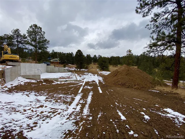$750,000 | 174 Chickadee Lane, Bailey, CO 80421