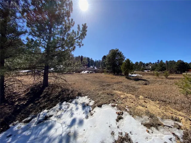 $750,000 | 174 Chickadee Lane, Bailey, CO 80421