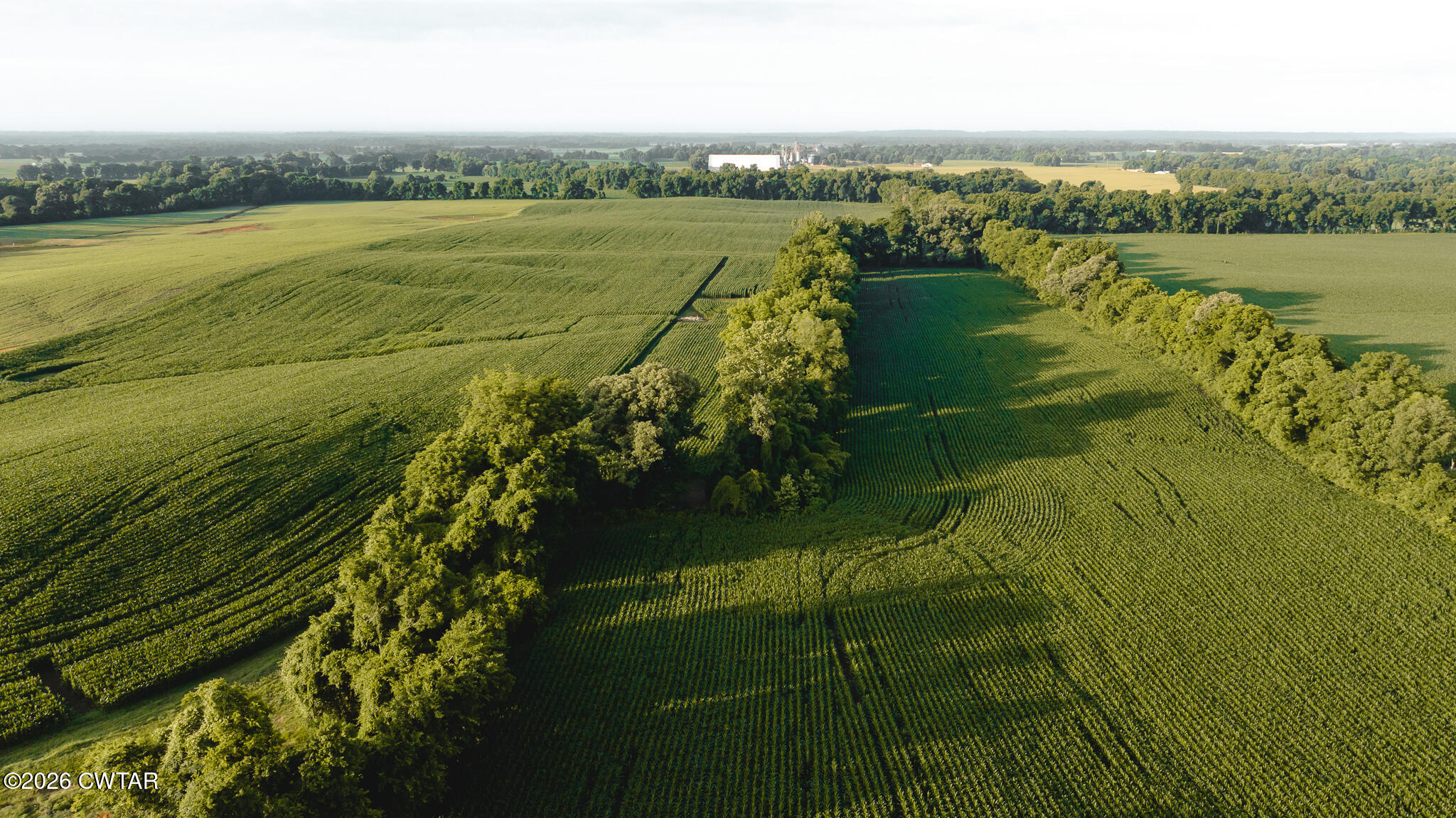 0 Jack Tate Road Obion, TN 38240 - Photo 5 of 23 DJI_20260531140715_0086_D