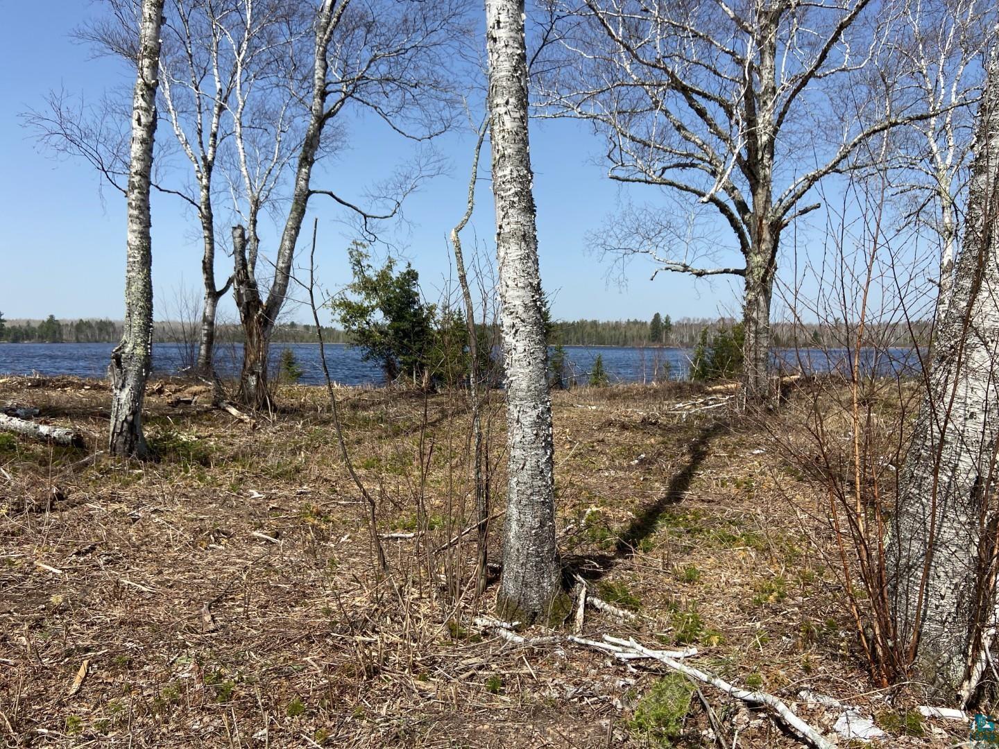 2102-11 Bear Lake Road Duluth, MN 55803 - Photo 3 of 22
