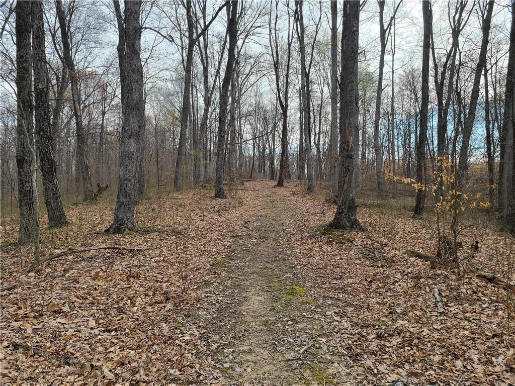 8115 4 Mile Ridge Road Nashville, IN 47448 - Photo 33 of 50