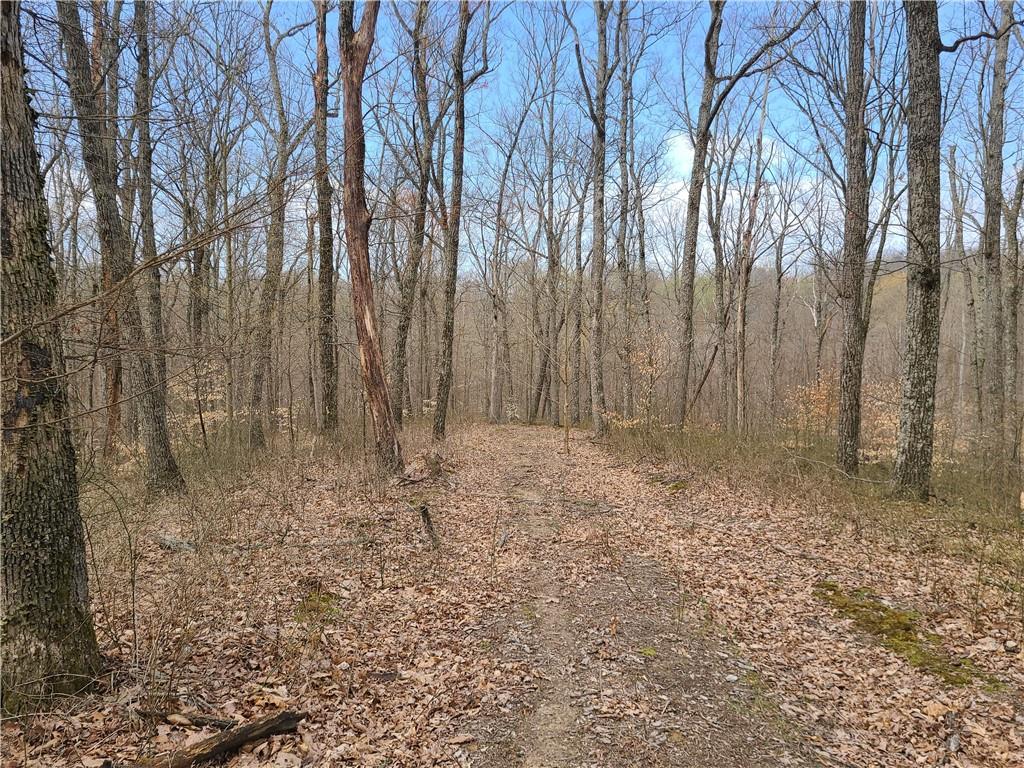 8115 4 Mile Ridge Road Nashville, IN 47448 - Photo 34 of 50