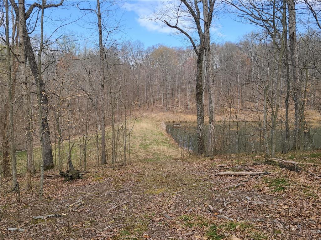 8115 4 Mile Ridge Road Nashville, IN 47448 - Photo 35 of 50