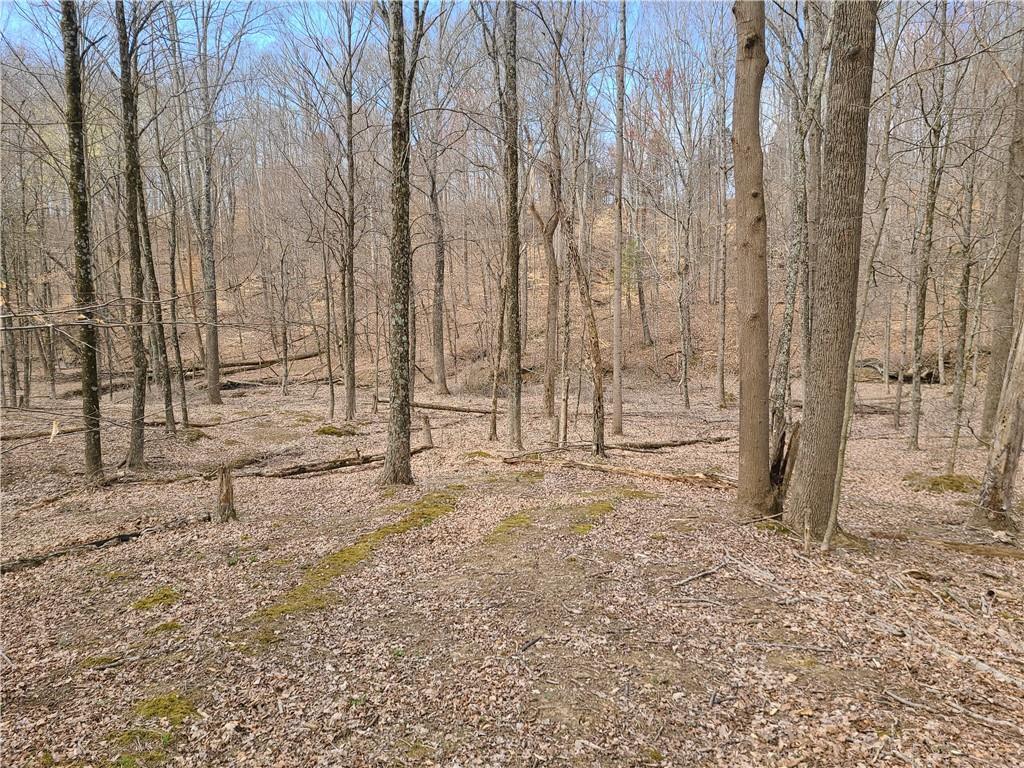 8115 4 Mile Ridge Road Nashville, IN 47448 - Photo 36 of 50