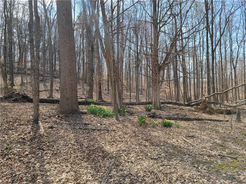 8115 4 Mile Ridge Road Nashville, IN 47448 - Photo 46 of 50