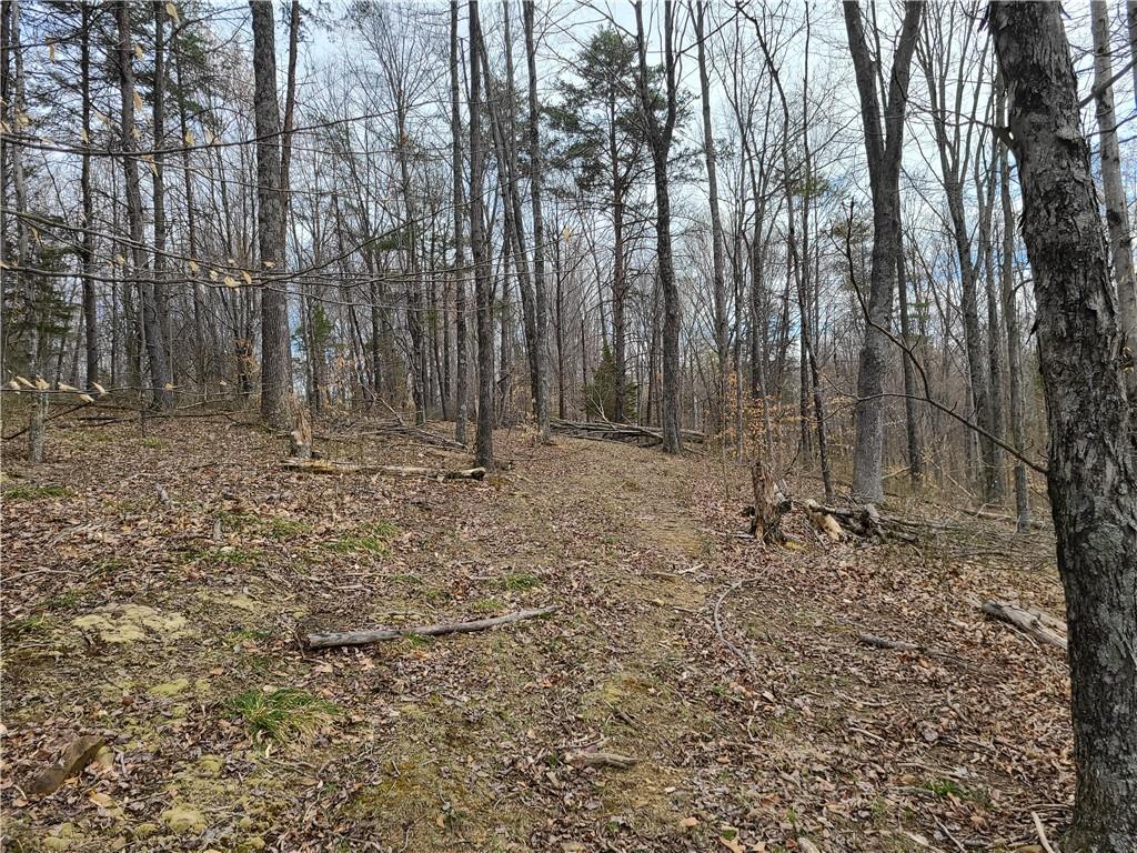 8115 4 Mile Ridge Road Nashville, IN 47448 - Photo 47 of 50