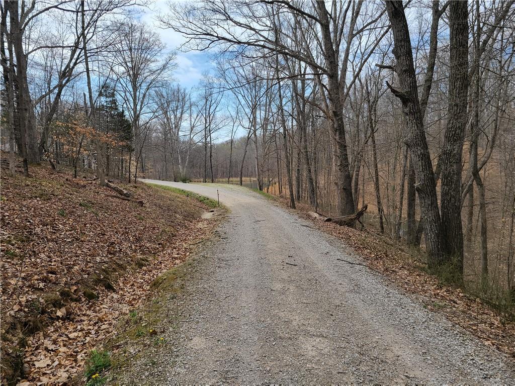 8115 4 Mile Ridge Road Nashville, IN 47448 - Photo 48 of 50