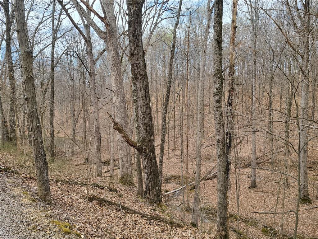 8115 4 Mile Ridge Road Nashville, IN 47448 - Photo 49 of 50