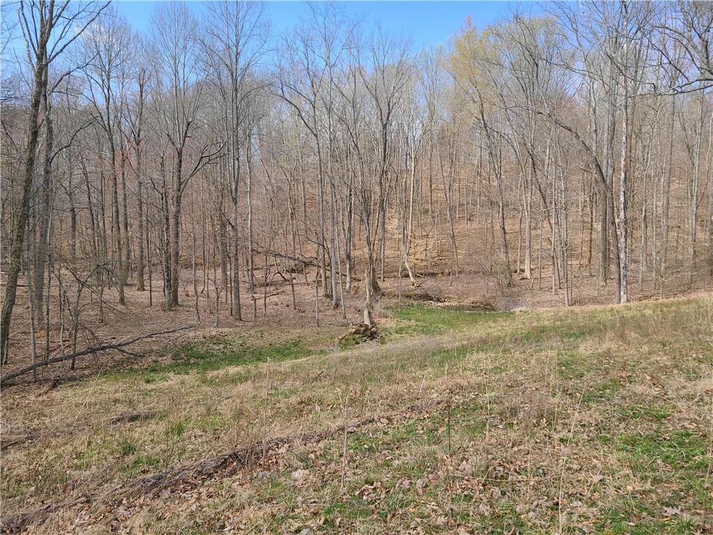 8115 4 Mile Ridge Road Nashville, IN 47448 - Photo 50 of 50