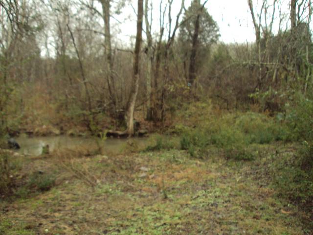 0 Polecat Road Mount Juliet, TN 37122 - Photo 4 of 20 Gallery Image 4