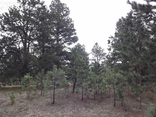 5215 Hidden Rock Road Colorado Springs, CO 80908 - Photo 11 of 21 Gallery Image 11