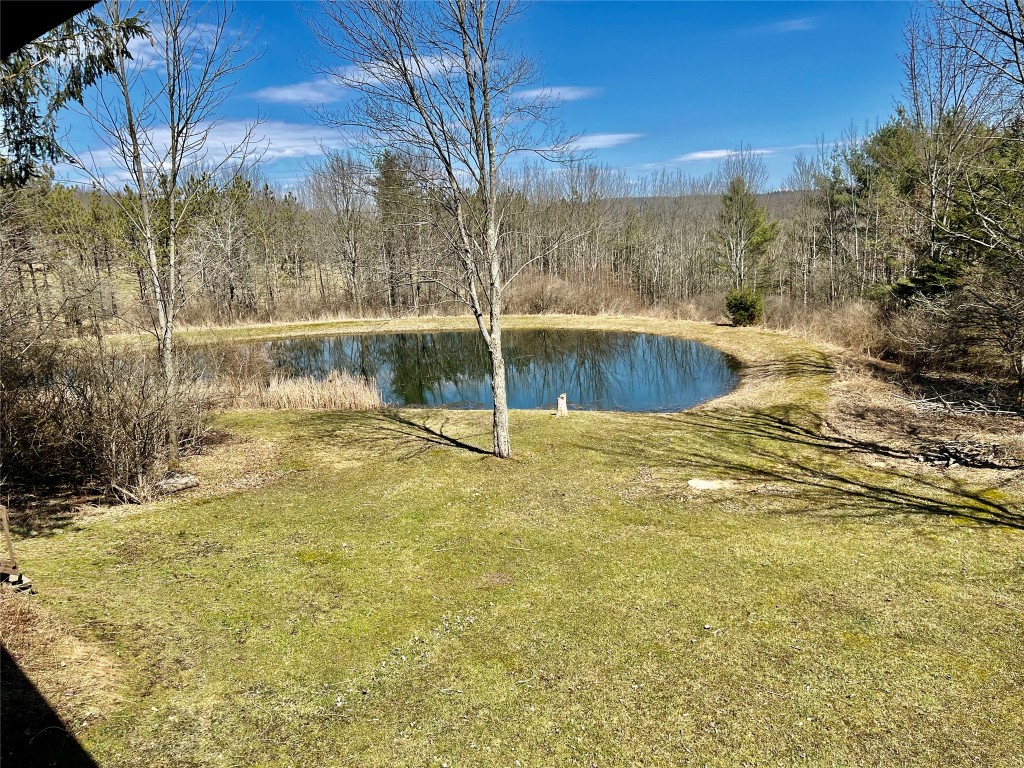 42 Vanwoert Road Spencer, NY 14883 - Photo 21 of 31 Gallery Image 21