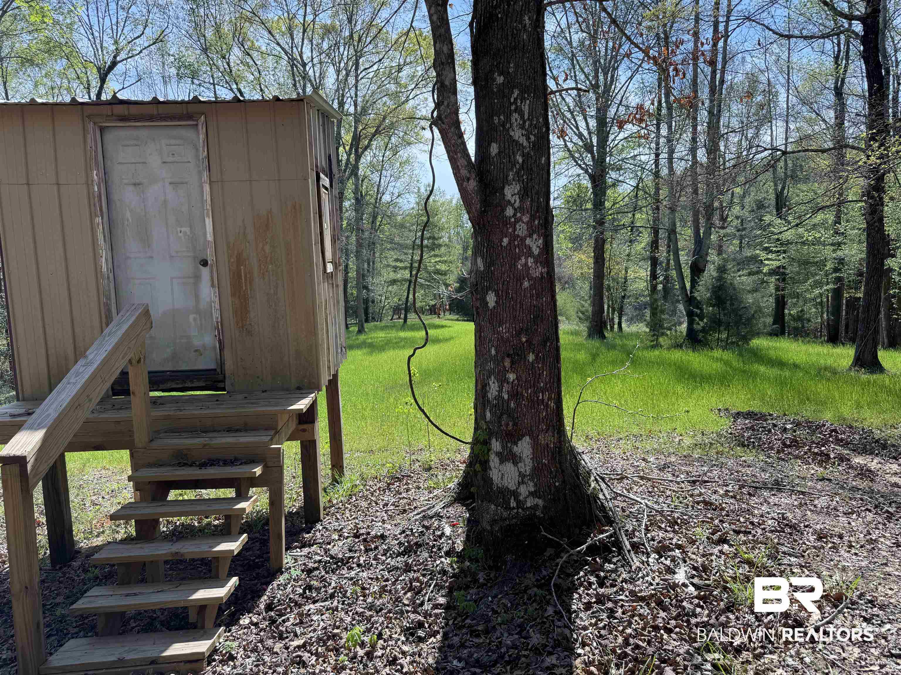 516 Mill Creek Road Frisco City, AL 36445 - Photo 25 of 32 View of grassy yard with an outbuilding