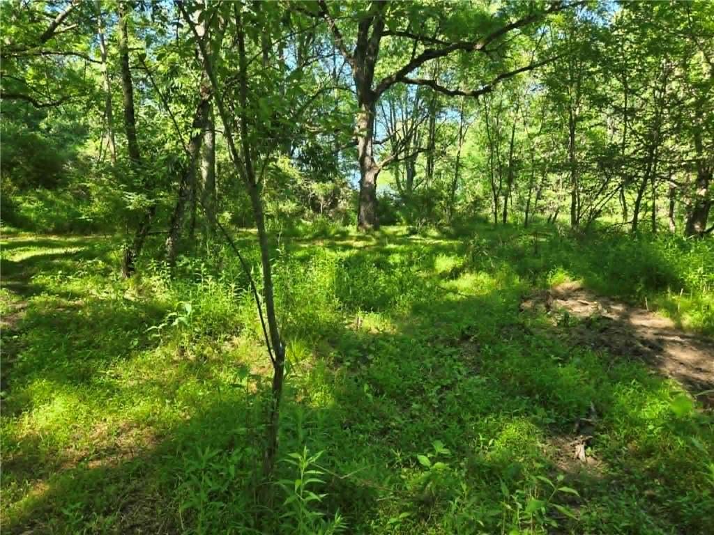 0 Hickory Road Petrolia, PA 16050 - Photo 2 of 15