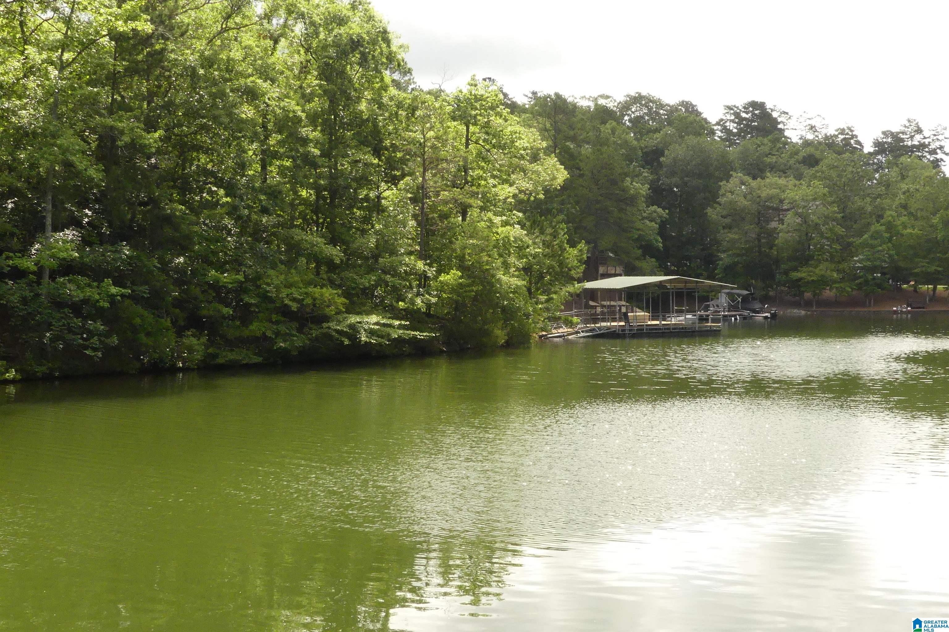 Lot 106 River Birch Road, Unit 106 Heflin, AL 36264 - Photo 4 of 8