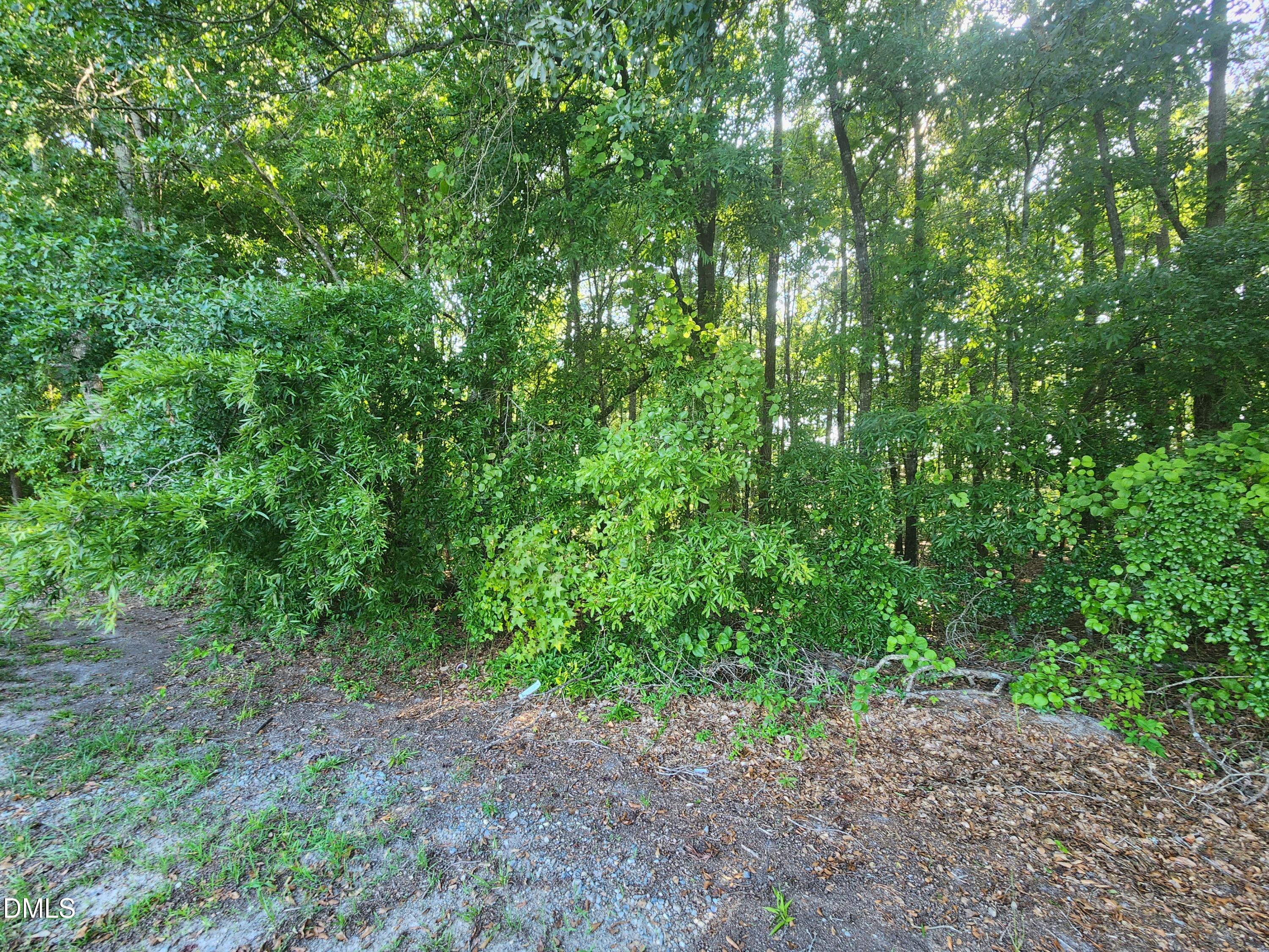 995 B Barbour Road Smithfield, NC 27577 - Photo 6 of 8 1000006914