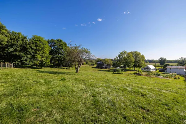 a view of a field with of trees