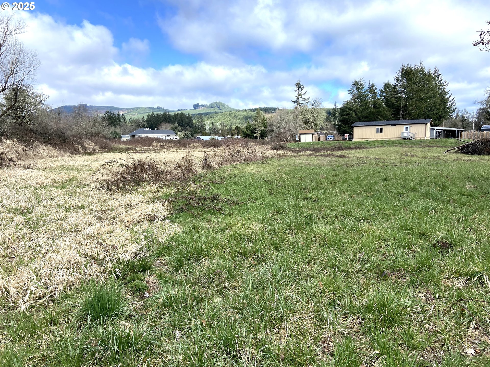 92020 Maple Lane Springfield, OR 97478 - Photo 27 of 30