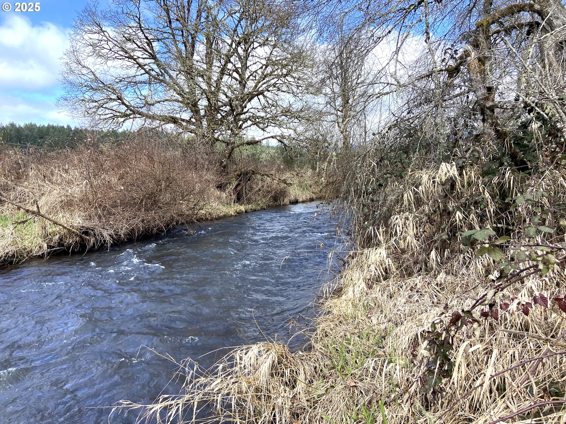 92020 Maple Lane Springfield, OR 97478 - Photo 28 of 30