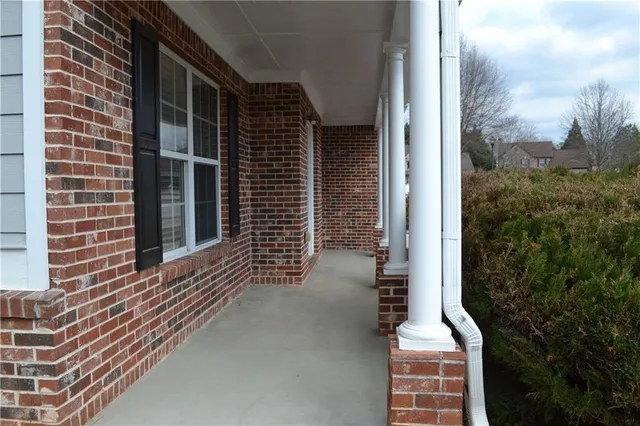 a view of backyard from window