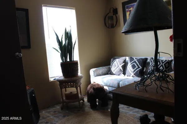 a close view of a potted plant on a table and chair