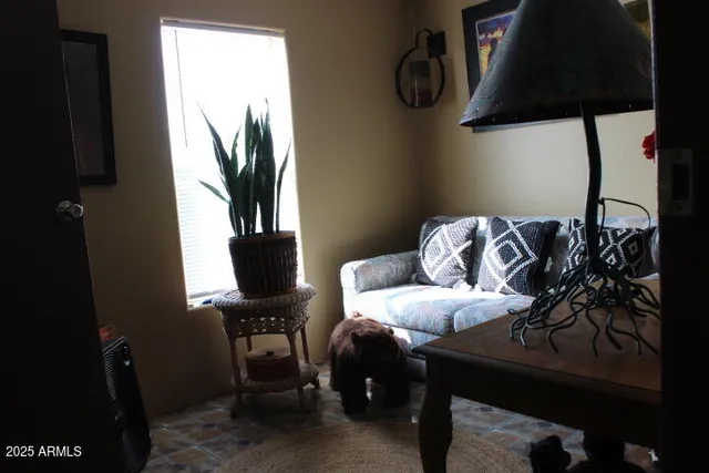 a close view of a potted plant on a table and chair