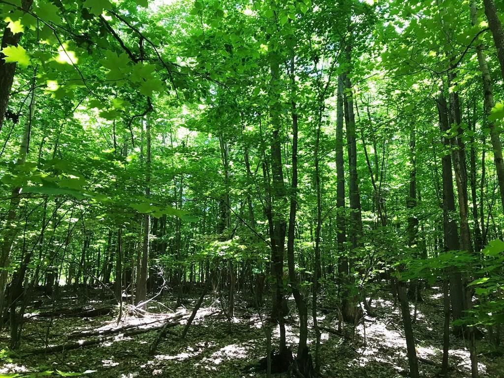 West Whitefish Bay Road Sturgeon Bay, WI 54235 - Photo 7 of 28