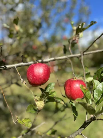 $349,000 | 26 Crowell Hill Road, Vassalboro, ME 04989