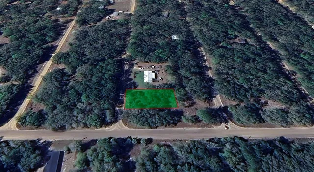 a view of a back yard