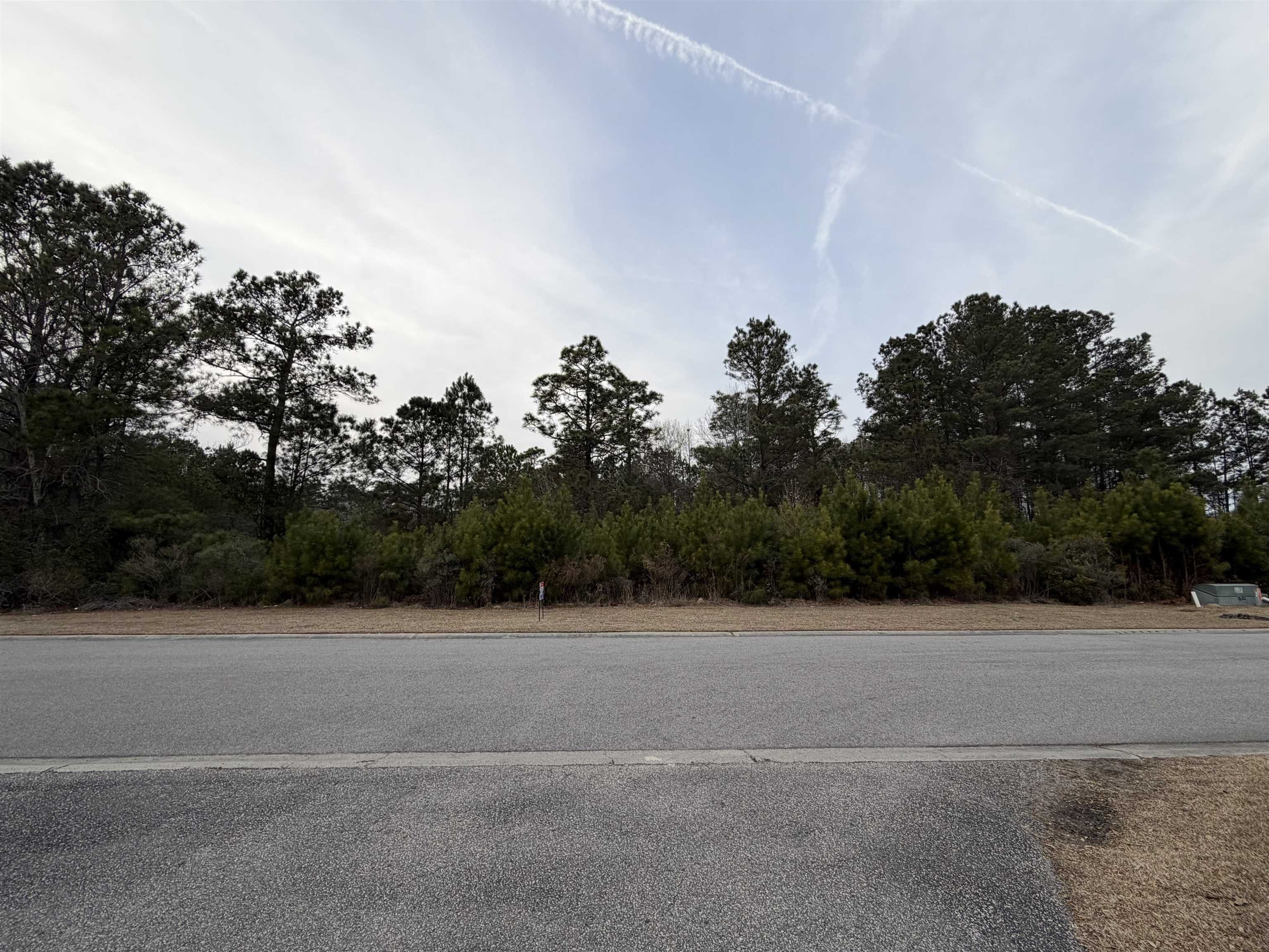 3040 Newcastle Loop Myrtle Beach, SC 29588 - Photo 2 of 4 View of asphalt road with view of wooded area