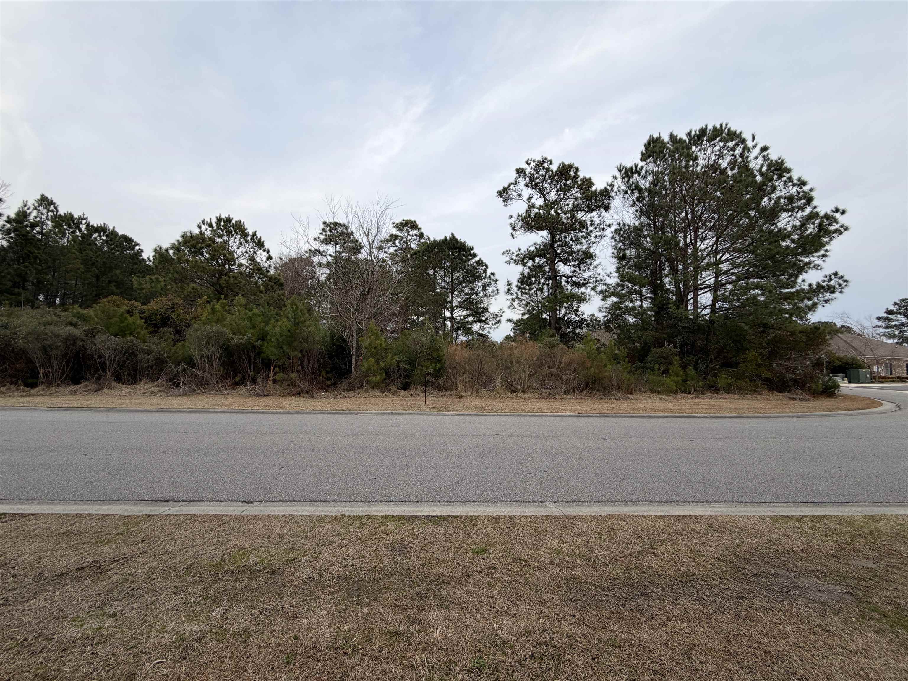 3040 Newcastle Loop Myrtle Beach, SC 29588 - Photo 3 of 4 View of asphalt street