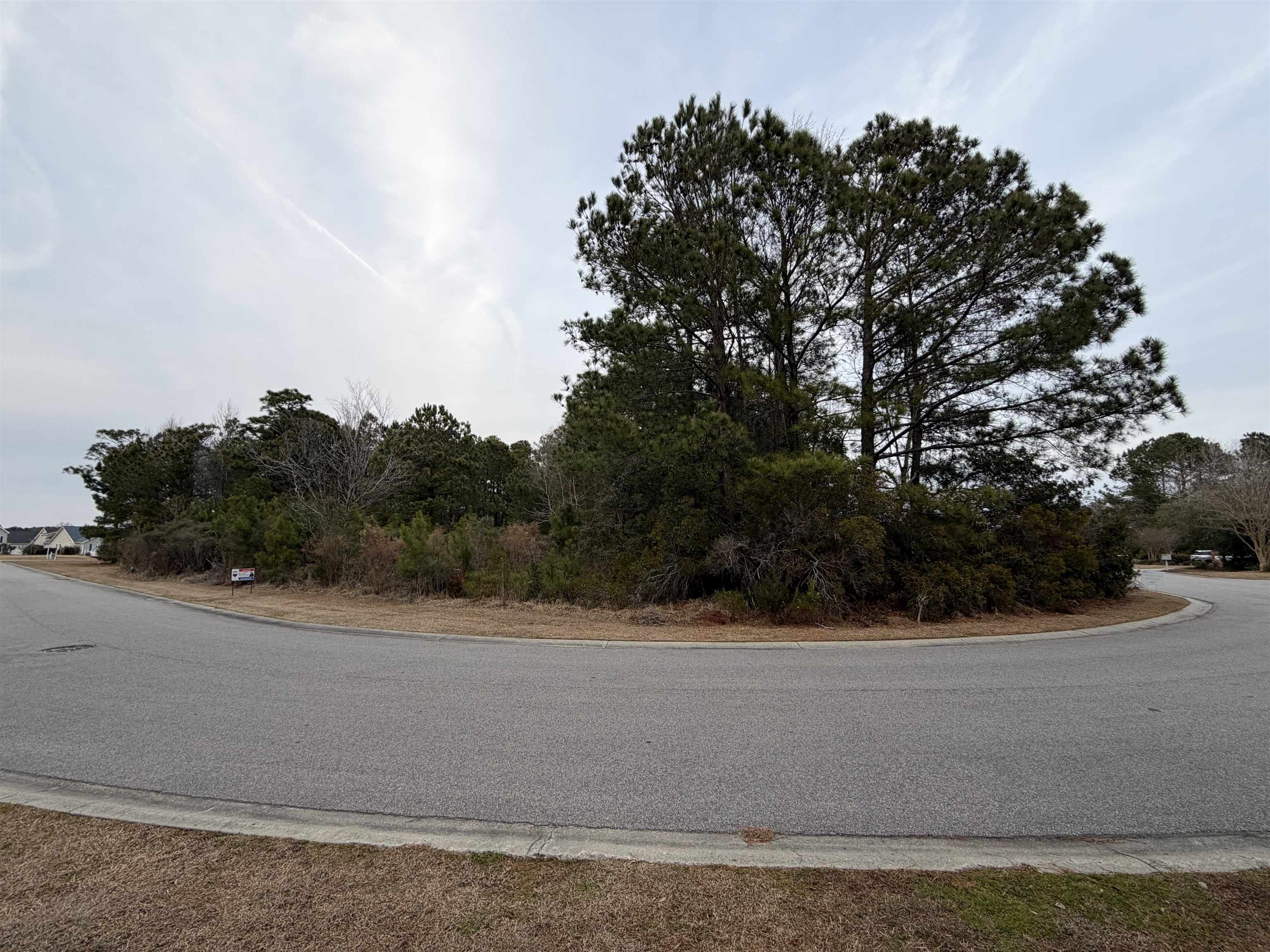 3040 Newcastle Loop Myrtle Beach, SC 29588 - Photo 4 of 4 View of asphalt road featuring curbs