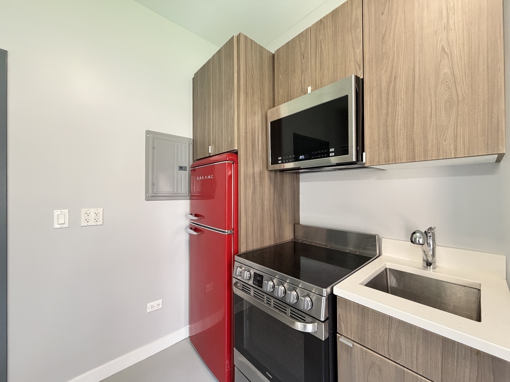 4700 North Racine Avenue, Unit 305 Chicago, IL 60640 - Photo 3 of 20