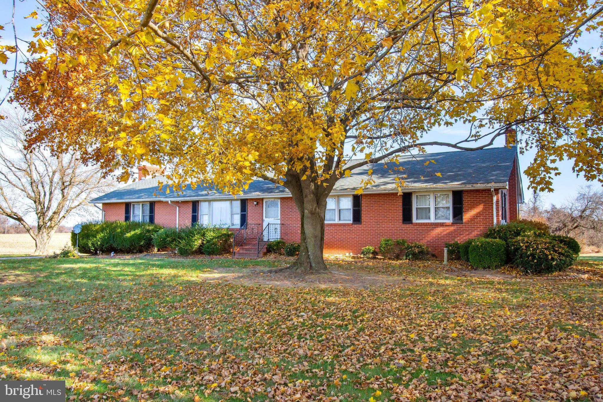 13173 Rosedale Cannery Road Still Pond, MD 21667 - Photo 3 of 26 Gallery Image 3
