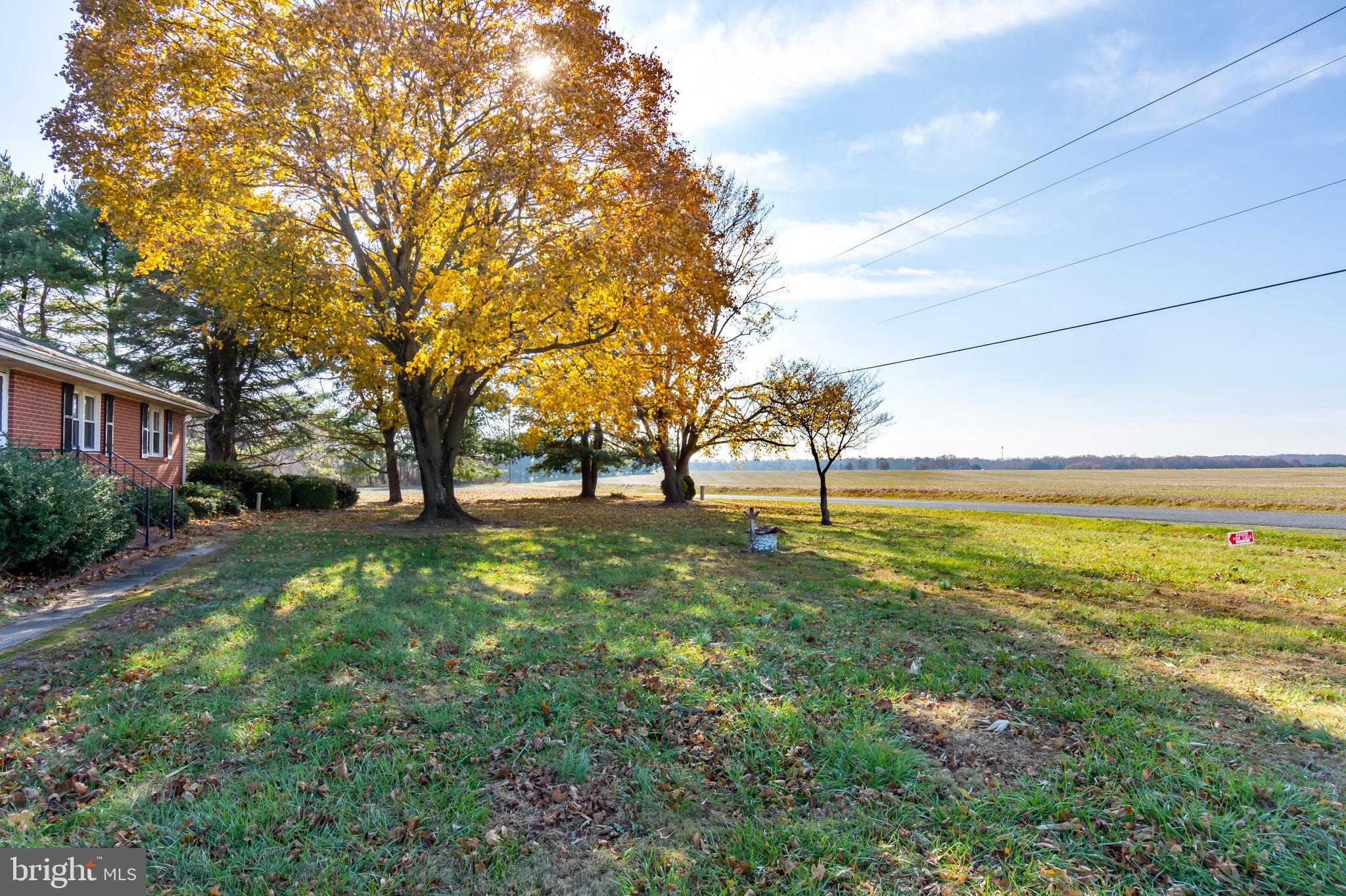 13173 Rosedale Cannery Road Still Pond, MD 21667 - Photo 6 of 26 Gallery Image 6
