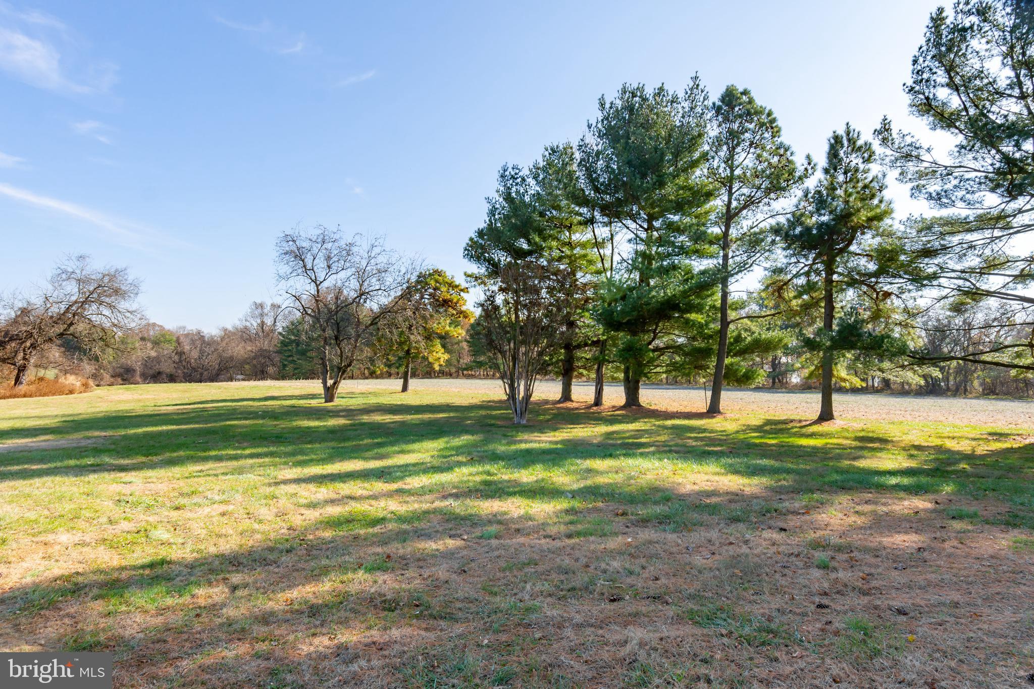 13173 Rosedale Cannery Road Still Pond, MD 21667 - Photo 9 of 26 Gallery Image 9