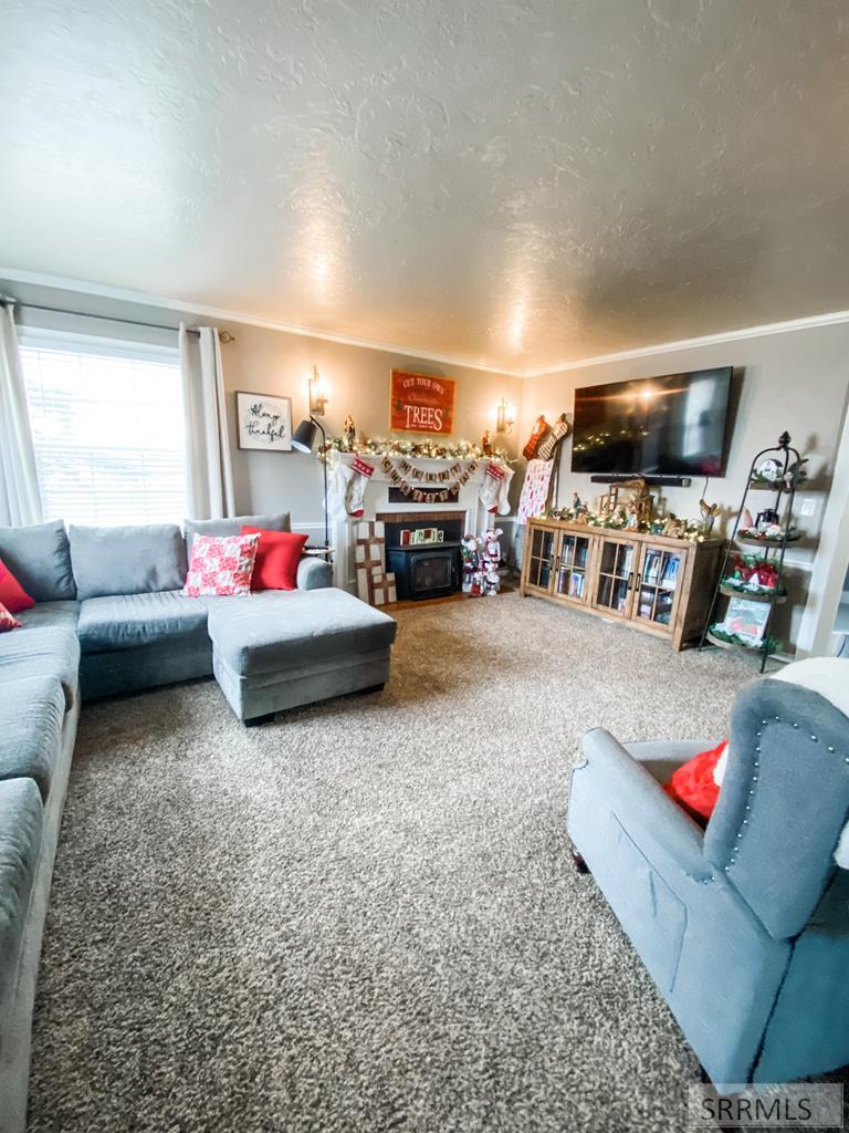 838 North 450 East Firth, ID 83236 - Photo 11 of 56